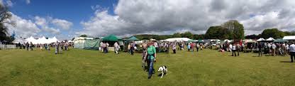 Pembrokeshire County Show Rhostwarch